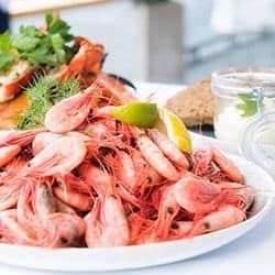 Fresh cooked shrimp with lemon and herbs on a white plate.
