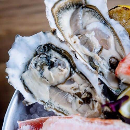 Fresh oysters on ice with lemon and garnish, seafood delicacy.