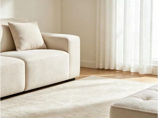 Bright minimalist living room with fabric sofa, carpet and curtains, household fabric cleaning scene without cleaning machine